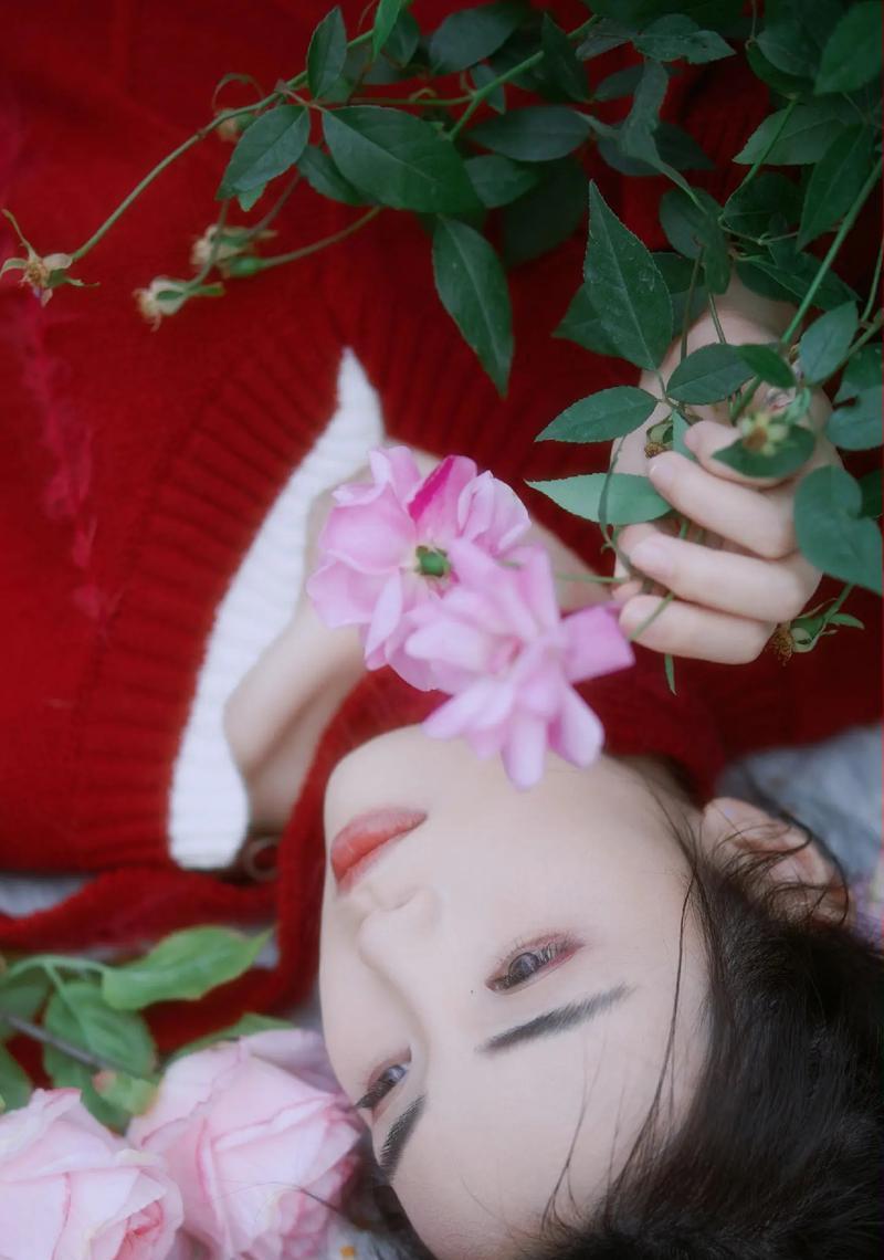 月季花的花语代表什么？