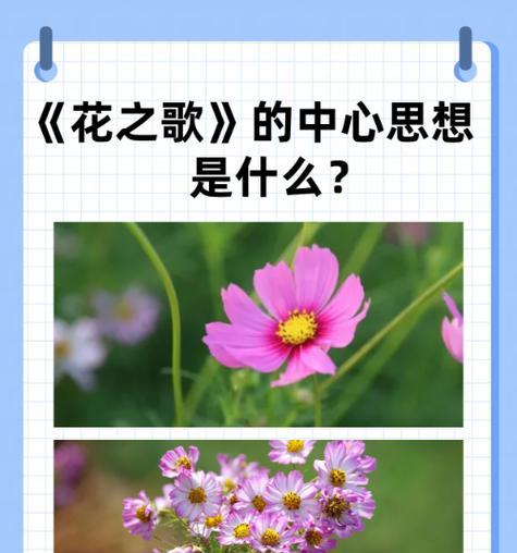 绿色的花象征着什么？它们的含义是什么？