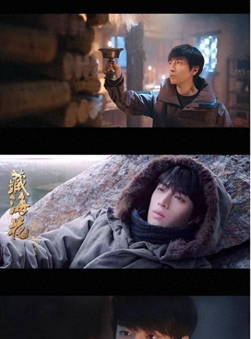 藏海花语录是什么意思？藏海花语录在文学中的引用有哪些？