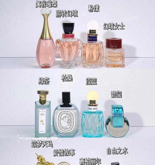 寓意温柔知性的花有哪些？哪些花寓意温柔知性？
