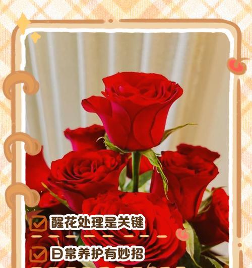 收到的花有哪些寓意和花名？哪些花的寓意不好？