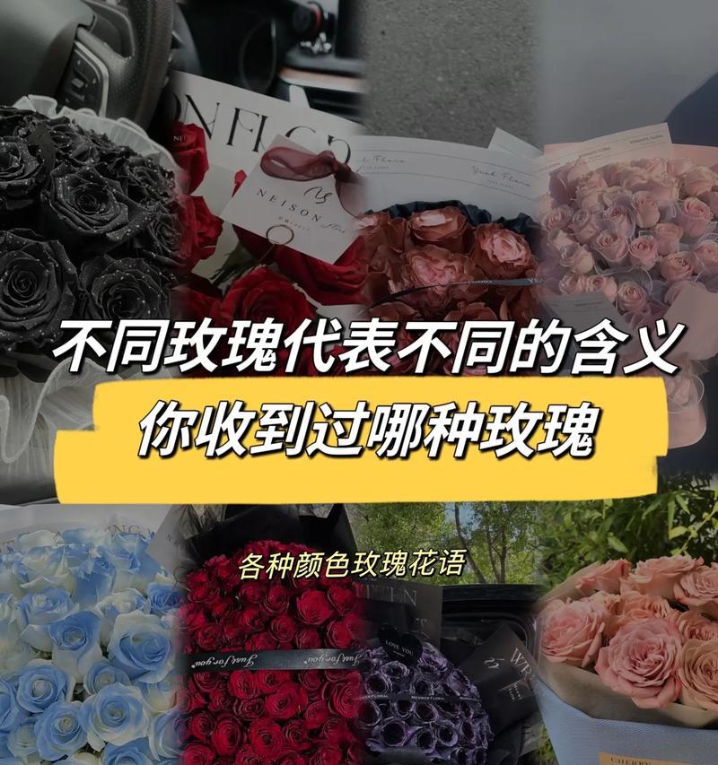 不同颜色的花各自代表了哪些含义？