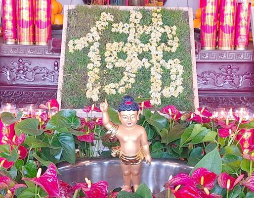 哪些花象征恭敬？
