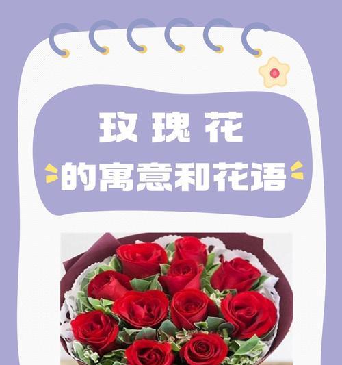 玫瑰花的花语是什么？它有哪些含义？