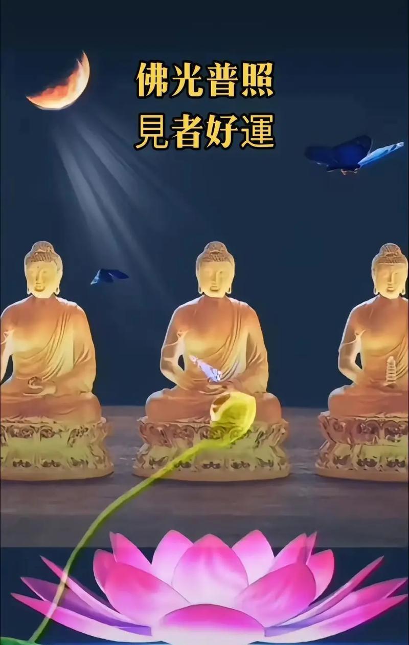 “花开见佛”是什么意思？如何通过花表达这种寓意？