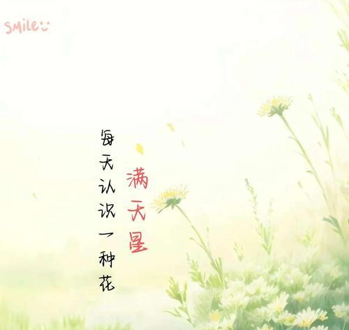 无私奉献的花语是什么？哪种花代表无私奉献？