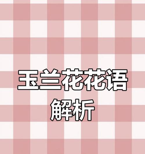 文明与友谊的花语：哪些花象征这两种价值？