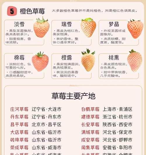 草莓花语有何象征意义？象征了什么？