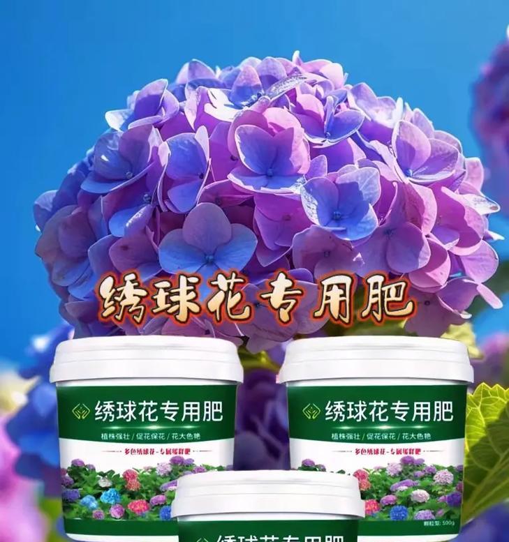 无用的象征花有哪些？
