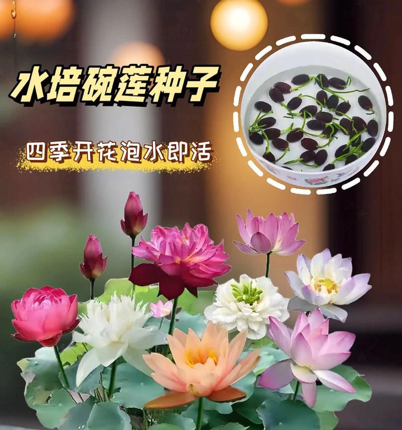 花的吉祥寓意词语有哪些？如何正确使用？