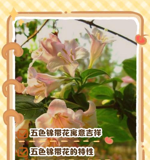 花似锦象征着什么？花的含义花语是什么？