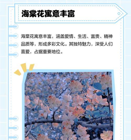 哪种花的花语代表爱情？爱情花语有哪些？