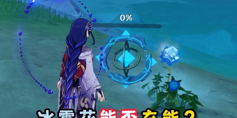 冰雾花代表什么？冰雾花的寓意是什么？