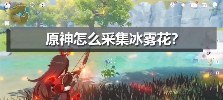 冰雾花代表什么？冰雾花的寓意是什么？