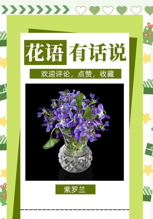 紫罗兰的花语含义是什么？它代表了哪些情感？