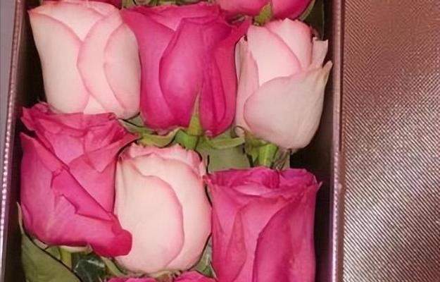 舔狗象征品种的花有哪些？它们代表什么？
