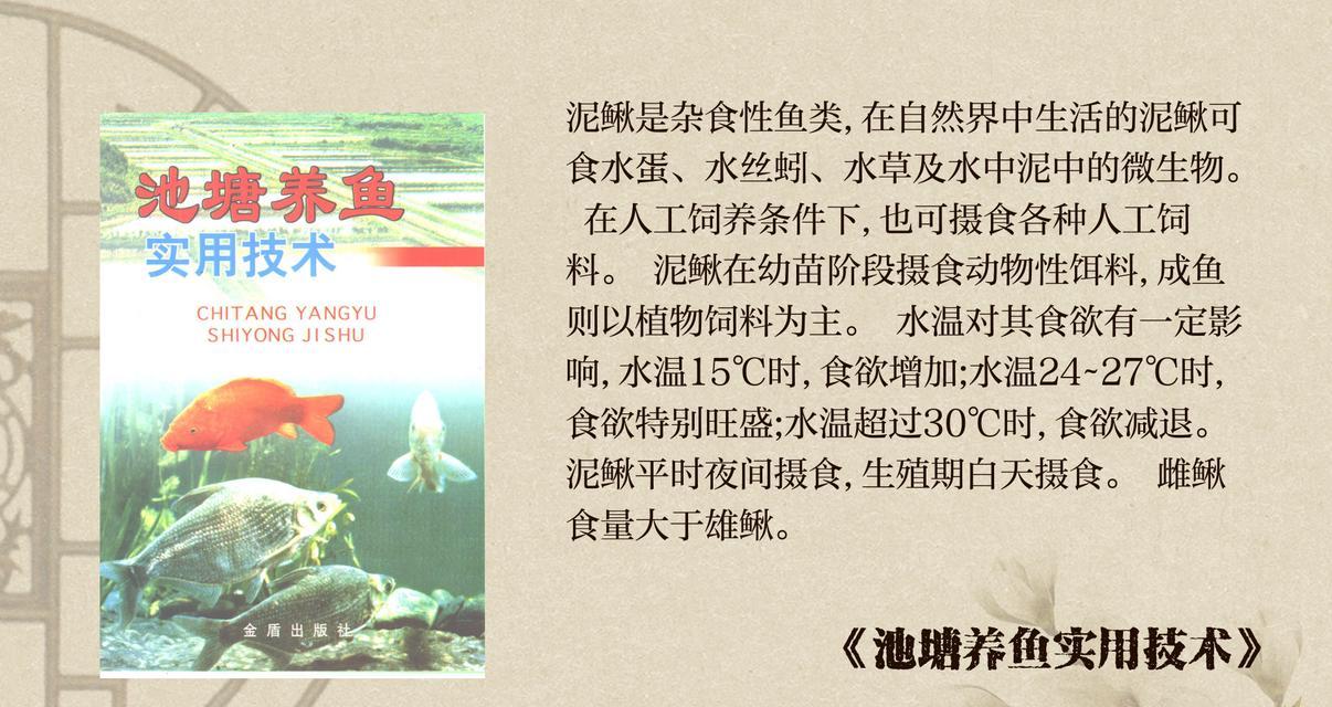 花泥鳅鱼的寓意是什么？泥鳅鱼与花结合的象征意义是什么？