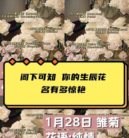 花语的起源和意义是什么？每朵花背后的故事是什么？