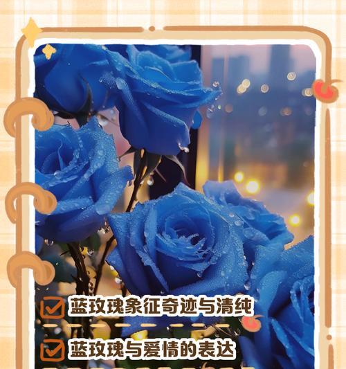 玫瑰花的表情如何传达情感？每种颜色玫瑰花代表的情感是什么？