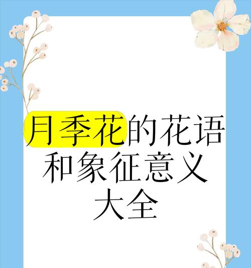 花卉的寓意和象征有哪些？