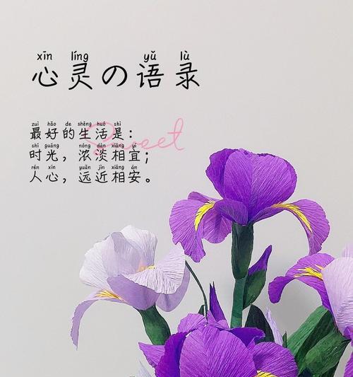 鸢尾花的寓意是什么？它的花语能否传达其独特之美？