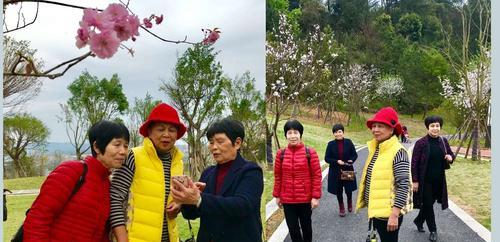 花雨的含义是什么？它在自然界中代表了什么？