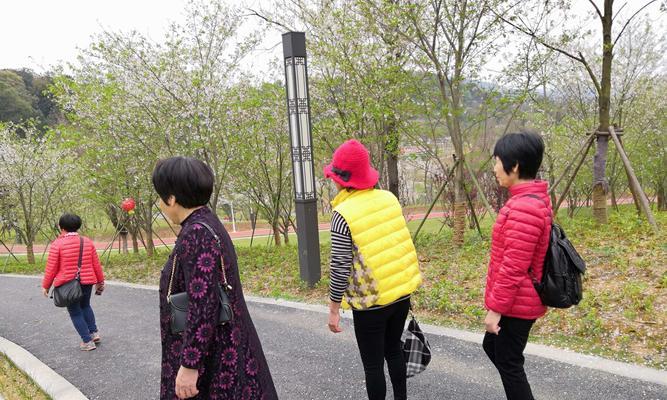 花雨的含义是什么？它在自然界中代表了什么？