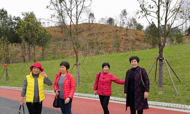 花雨的含义是什么？它在自然界中代表了什么？