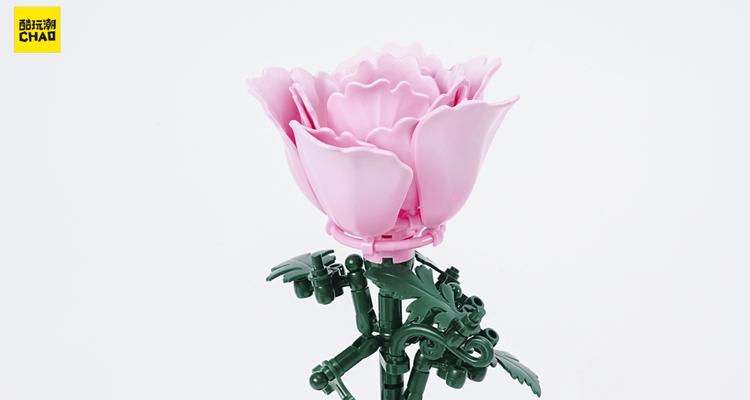 花积木象征友情的有哪些？它们的花语是什么？
