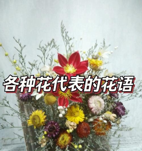 无忧花的花语含义是什么？它代表了哪种情感？