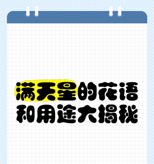 自我关爱的花语解读？哪些花语代表自我关爱？