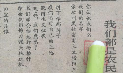花雨往事代表什么？花雨往事的含义是什么？