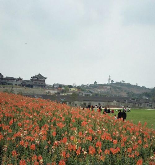 花舞之约是什么意思？它代表了什么？