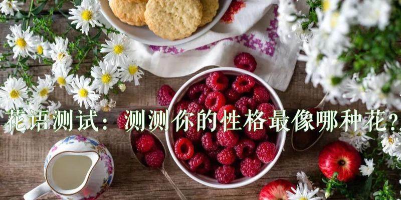 如何进行花语测试？