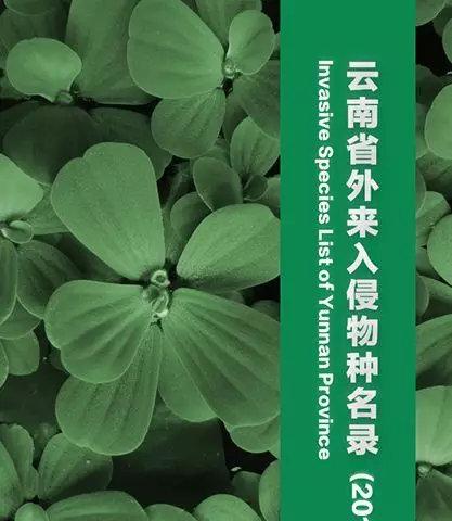 花消失的含义是什么？它在自然界中代表了什么？