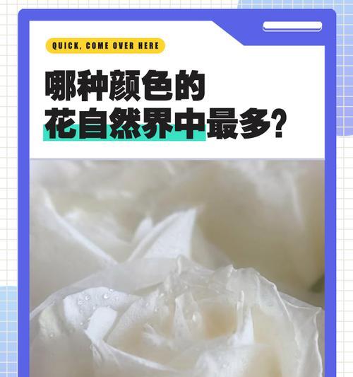 花消失的含义是什么？它在自然界中代表了什么？