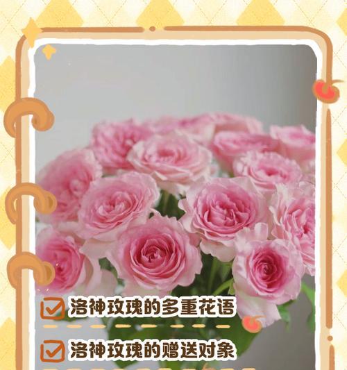 数量在花语中代表什么？