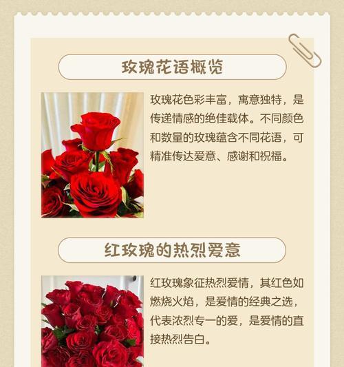数量在花语中代表什么？
