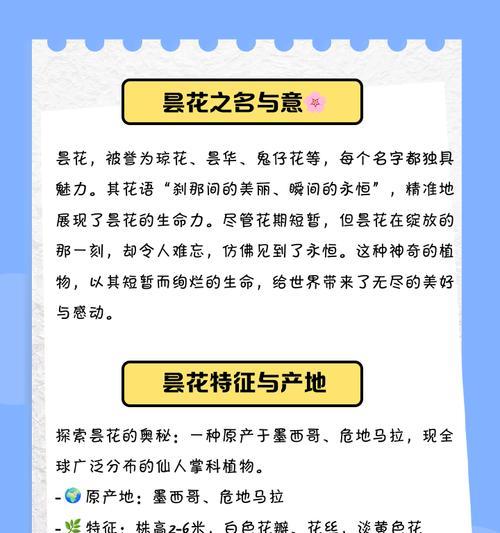 昙花花语是什么意思？昙花象征着什么？