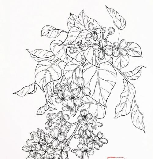 丁香花的花语：它代表了什么特别含义？