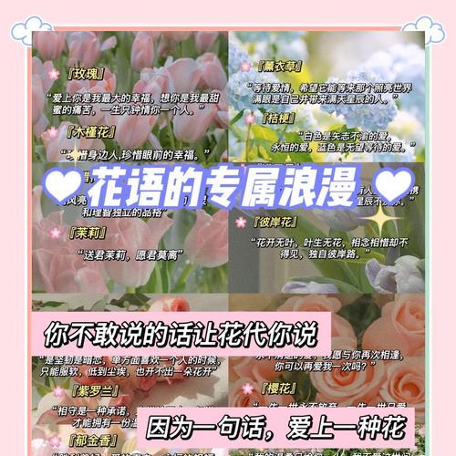 海边花卉在花语中的特殊含义是什么？