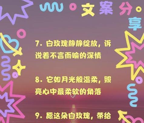 白玫瑰代表什么寓意？白玫瑰花语的浪漫解释是什么？