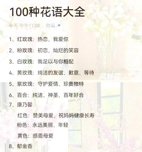 白玫瑰代表什么寓意？白玫瑰花语的浪漫解释是什么？