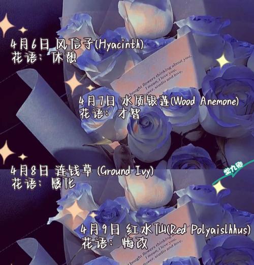 垂筒花的寓意与禁忌有哪些？如何正确养护？
