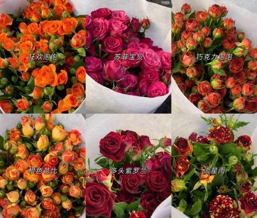 垂筒花的寓意与禁忌有哪些？如何正确养护？