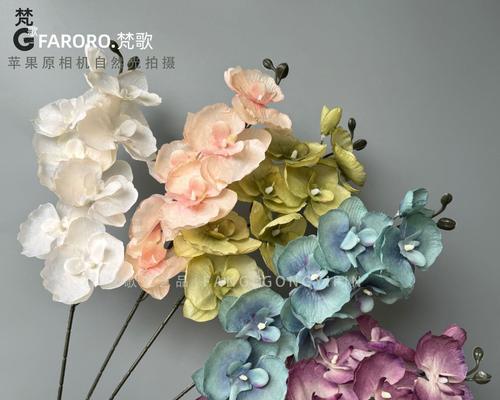 头上戴蝴蝶花的象征意义是什么？