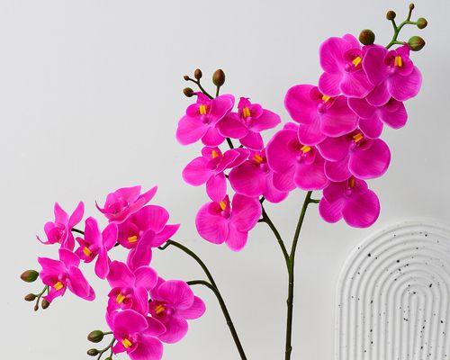 头上戴蝴蝶花的象征意义是什么？