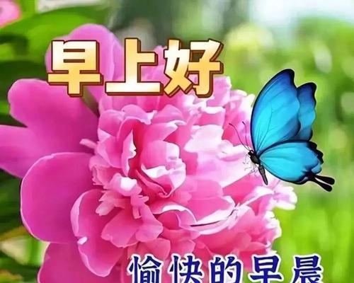 哪些花代表着祝福和好运的升级？