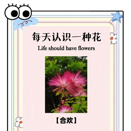 花的象征意义矛盾？哪些花有这种特性？