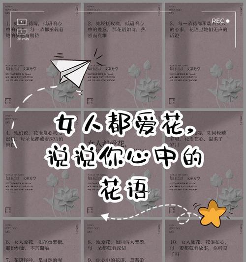 三条花的含义是什么？三朵花组合在花语中的特殊含义